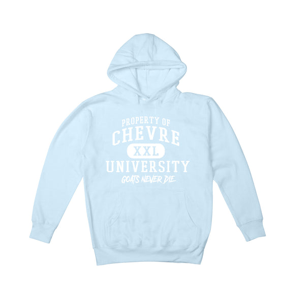 University Hoodie