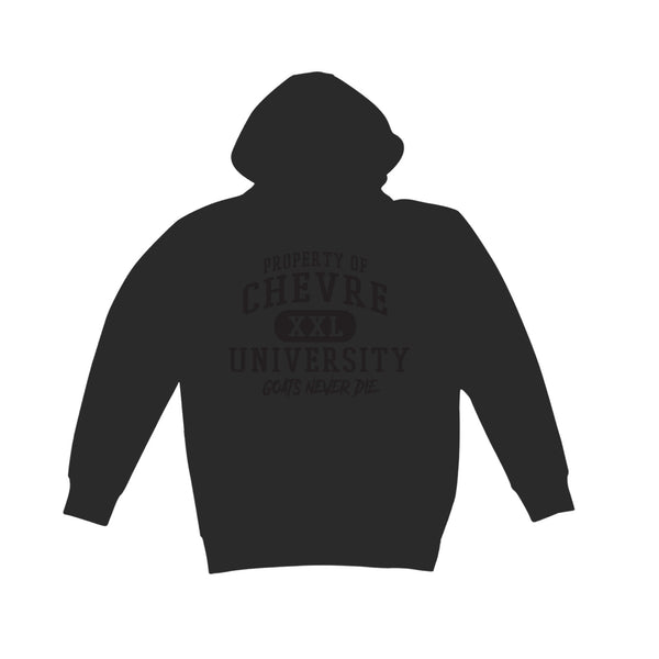 University Hoodie