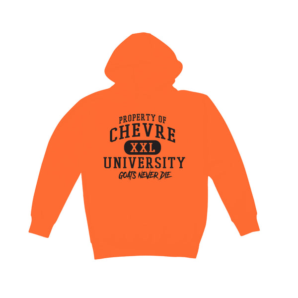 大学连帽衫